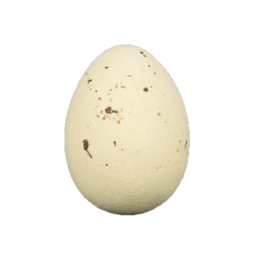 KIEVITSEITJES CHAMPAGNE