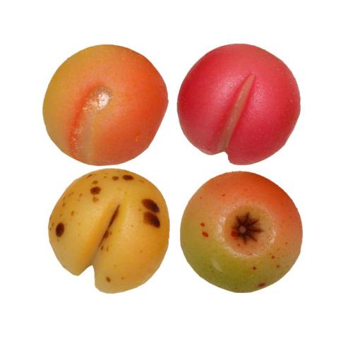 MARSEPEIN FRUIT ROND MARSEPEIN FRUIT ROND