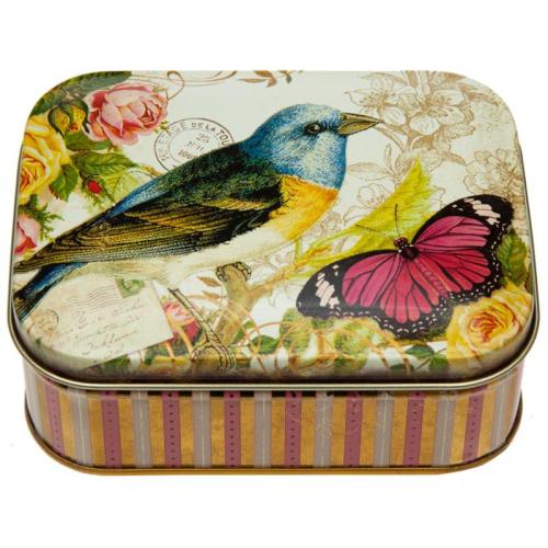 BLAUWE VOGEL & VLINDER