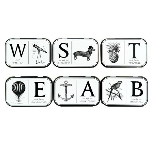 ALICE SCOTT KLEINE BLIKKEN RECHTHOEKIG 94 x 60 x 20 MM