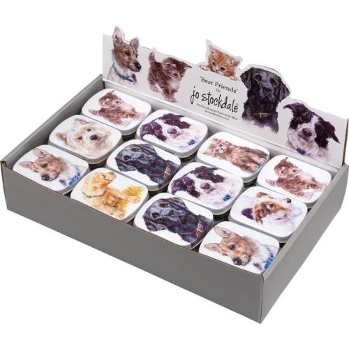 JS BEST FRIENDS RECTANGULAR MINI PILL 60 x 45 x 15 MM