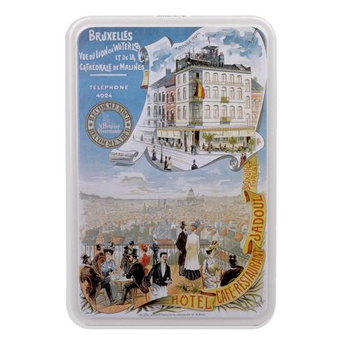 LBG - VUE DE LION DE WATERLOO