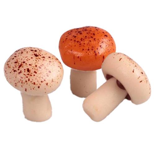 ORANJE EN BRUINE PADDESTOELEN ASS