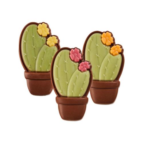 CACTI