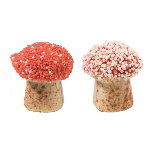 PADDESTOEL ROOD / WIT