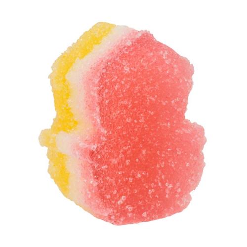 SINT - TRICOLOR SINT - TRICOLOR